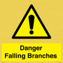 danger-falling-branches~